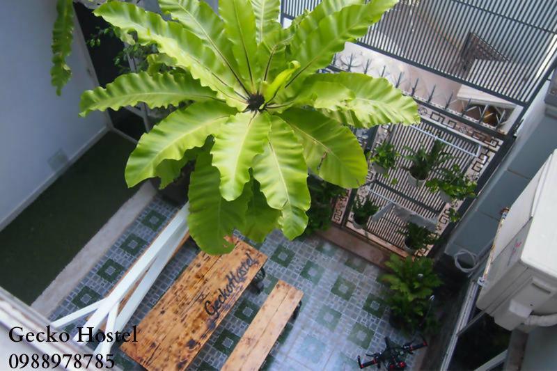 Gecko Hostel (Adults Only) Vũng Tàu Ngoại thất bức ảnh